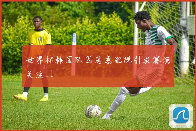 世界杯韩国队因恶意犯规引发赛场关注_1