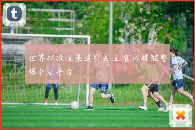 世界杯投注渠道引关注 官方提醒警惕非法平台