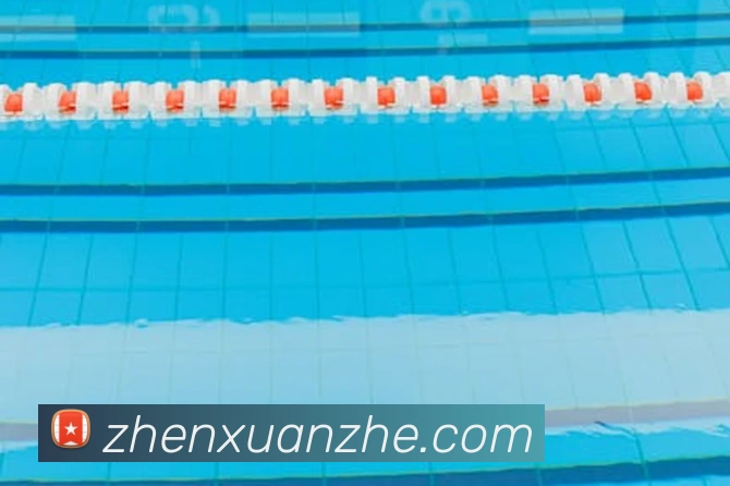 爱奇艺欧冠直播升级观赛体验 多场焦点战覆盖带动球迷收视热度提升